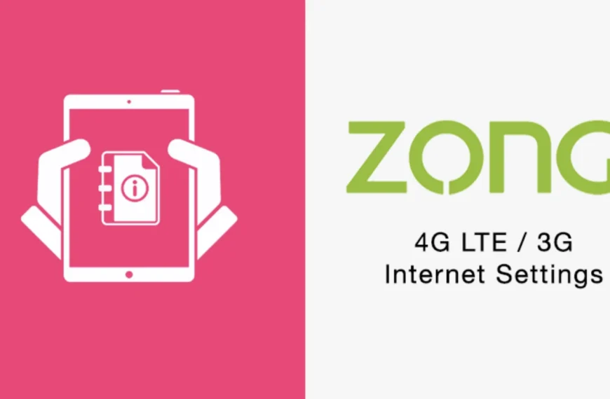 Zong Internet Setting