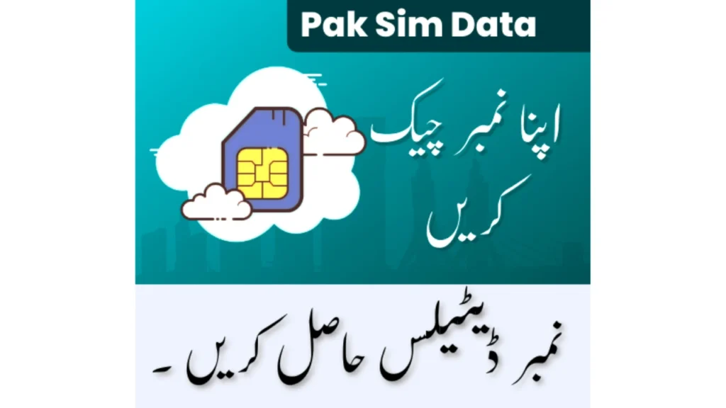Importance of the Database