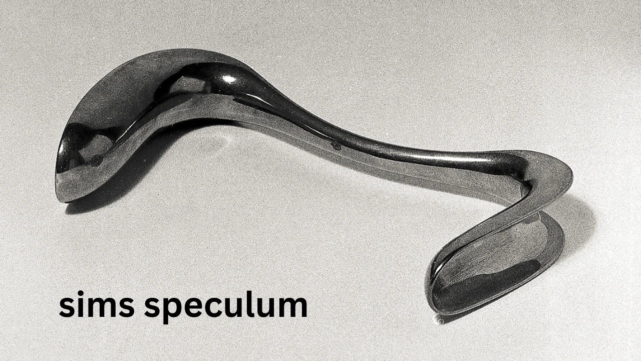 Sims Speculum